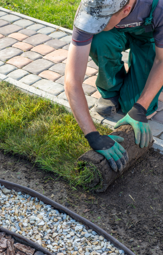 landscaping sod installation home laughter family hardscapes asheville Laughter Family Hardscapes outdoor living project